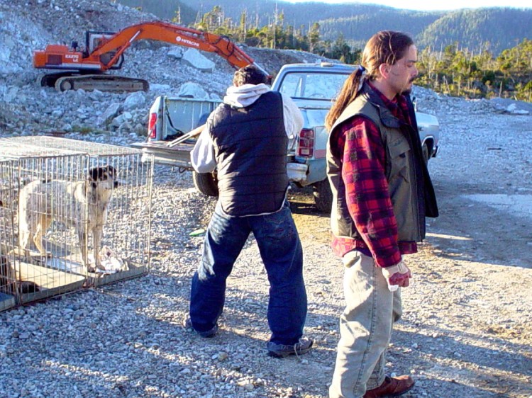 One-Eyed Dogs Are Free